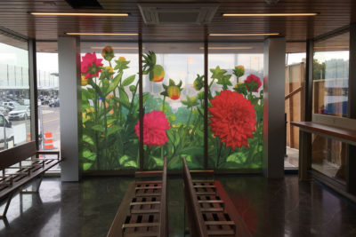 translucent panels featuring dahlias by William Low's