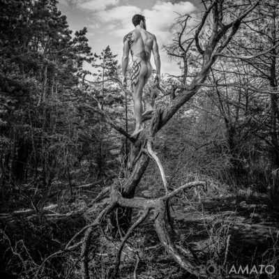 nude man standing on dead tree branches