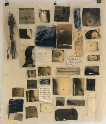 Untitled, analog and cyanotype collage of photographs and text, by Jasmine Garoosi.
