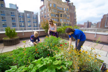students planting on FIT's green roof