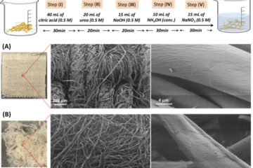 Chart with scanning electron microscope images of cotton