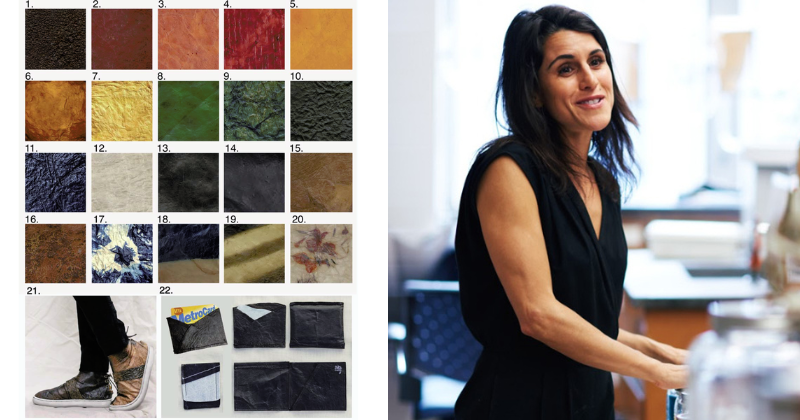 Theanne Schiros and an illustration from Environmental Science Advances shows bio-leather dyed with various natural substances and two applications of the material.