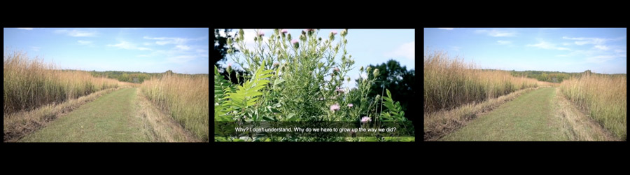 three stills from a video of green meadows with captioning from the film under one still