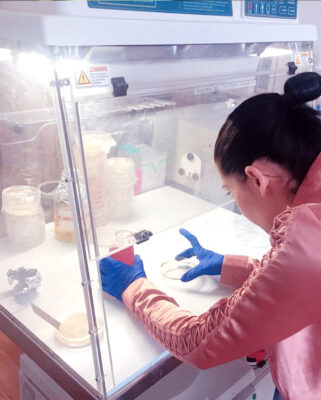 student leaning under an exhaust hood to mix fluids with gloved hands