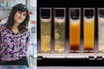 Theanne Schiros; Test tubes filled with fluids with different colors
