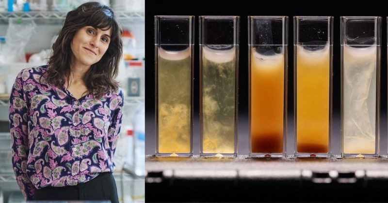 Theanne Schiros; Test tubes filled with fluids with different colors